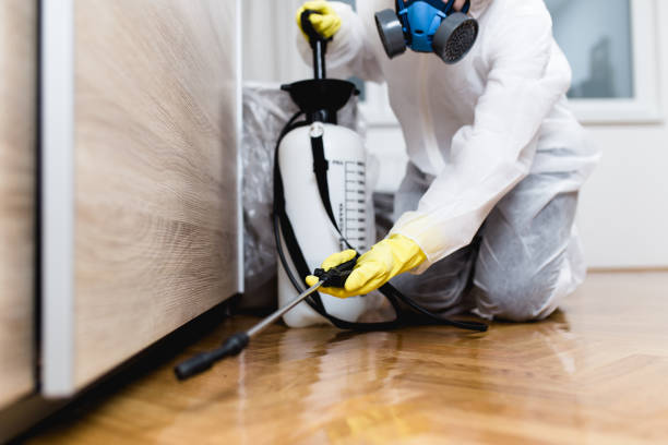 Professional Pest Control in Rolla, MO