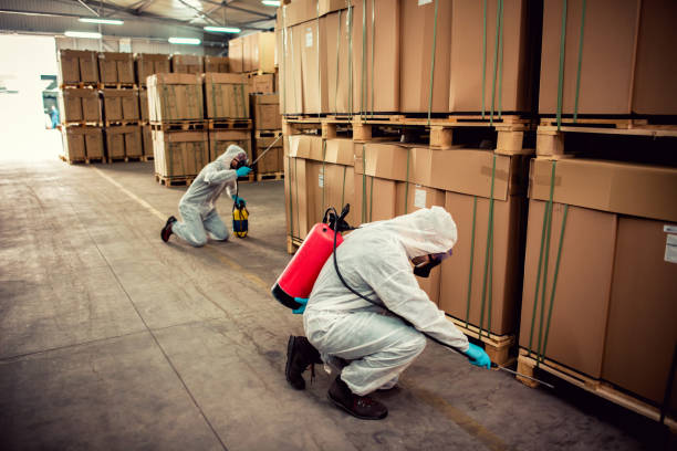 Best Emergency Pest Control  in Rolla, MO