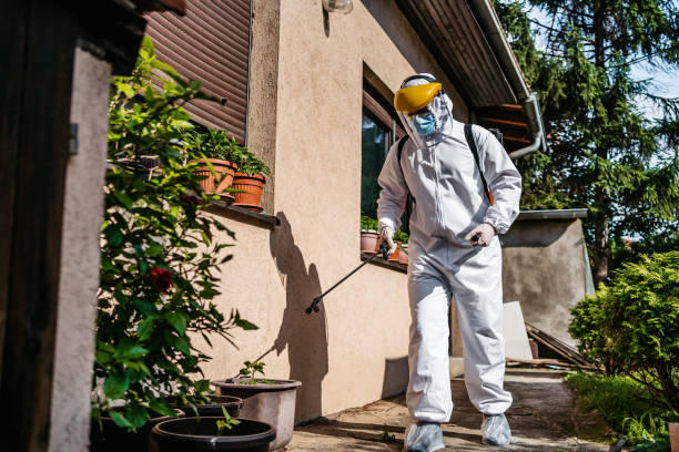 Best Commercial Pest Control Services  in Rolla, MO