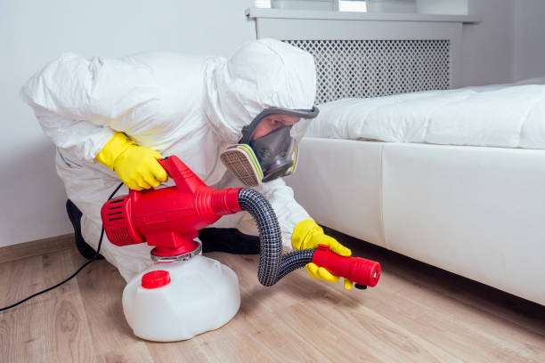Best Termite Control Services  in Rolla, MO
