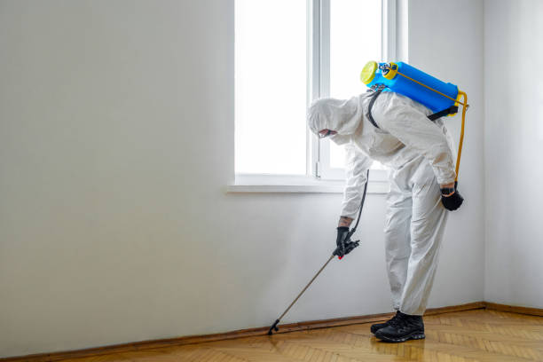 Best Best Pest Control Companies  in Rolla, MO