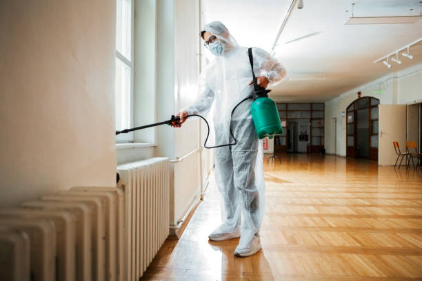 Pest Control for Restaurants in Rolla, MO