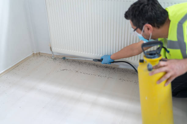 Best Cockroach Control Services  in Rolla, MO
