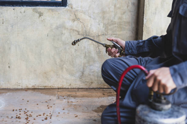Best Pest Control Near Me  in Rolla, MO